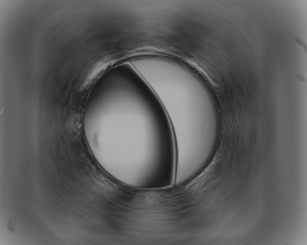 X0000091891355200709051037