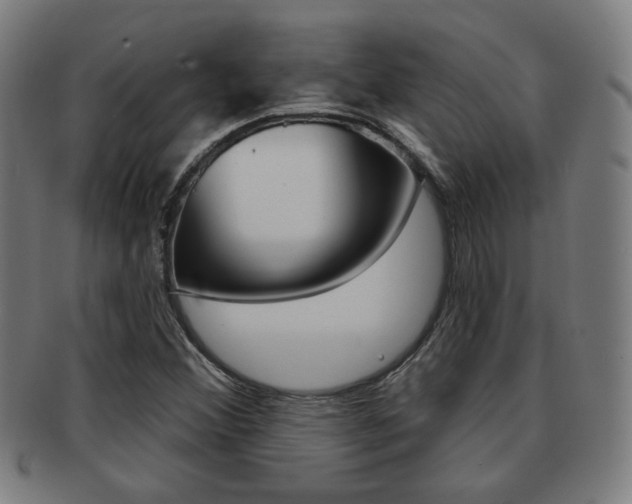 X0000091891356200709051037