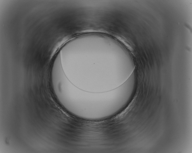 X0000091891357200709051036