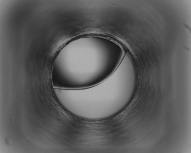 X0000091891359200709051036