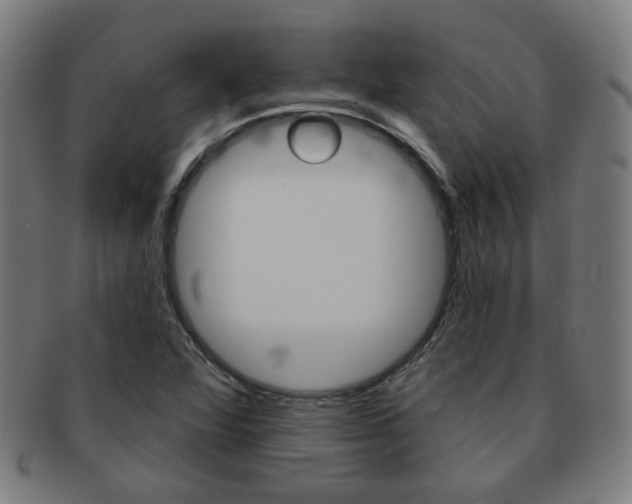 X0000091891360200709051036