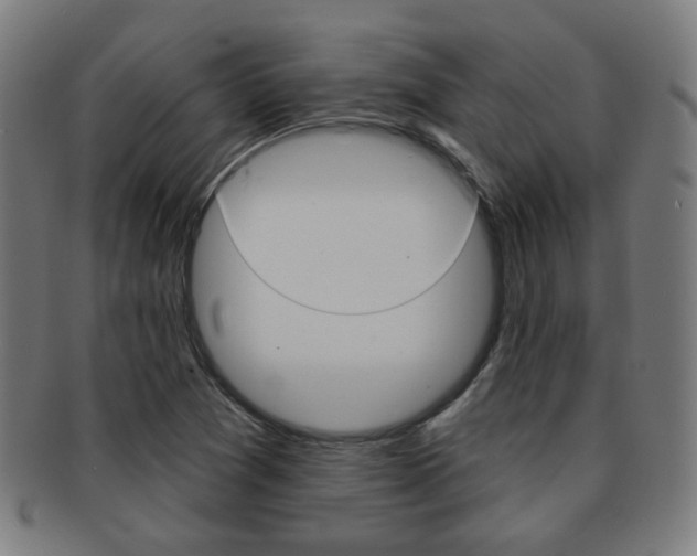 X0000091891361200709051036