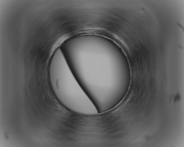 X0000091891362200709051036