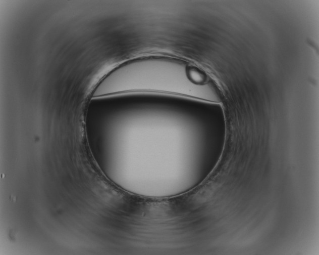 X0000091891363200709051036