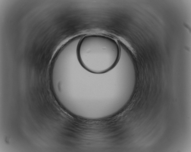 X0000091891364200709051036