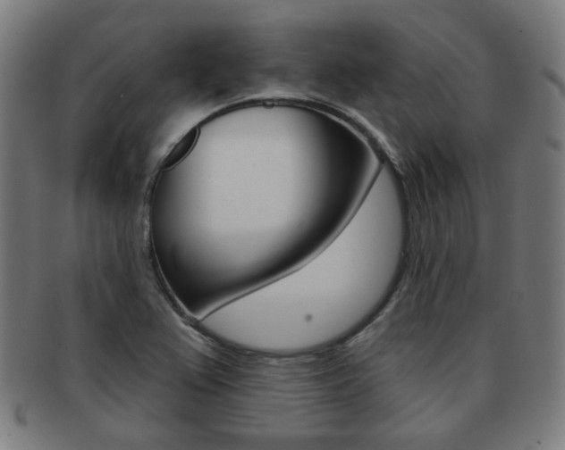 X0000091891367200709051036