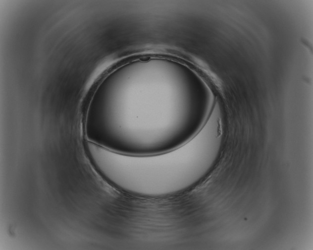 X0000091891368200709051036