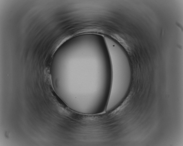 X0000091891369200709051036