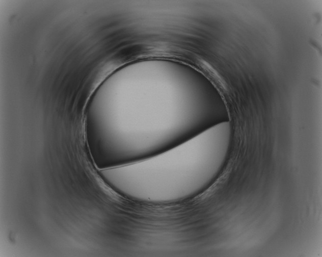 X0000091891370200709051036