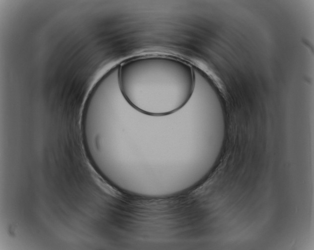 X0000091891372200709051036