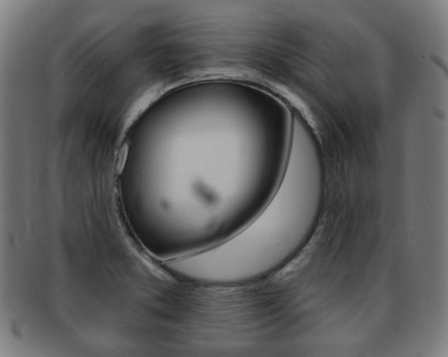 X0000091891373200709051036