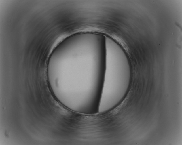 X0000091891374200709051036