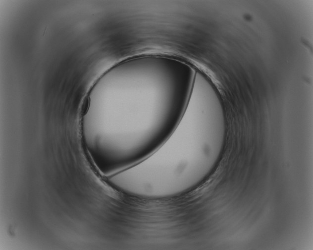 X0000091891375200709051036