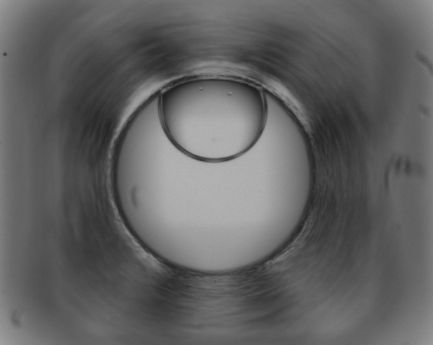 X0000091891376200709051036