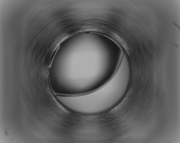 X0000091891377200709051036
