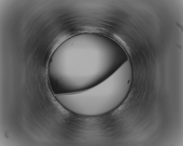 X0000091891378200709051036