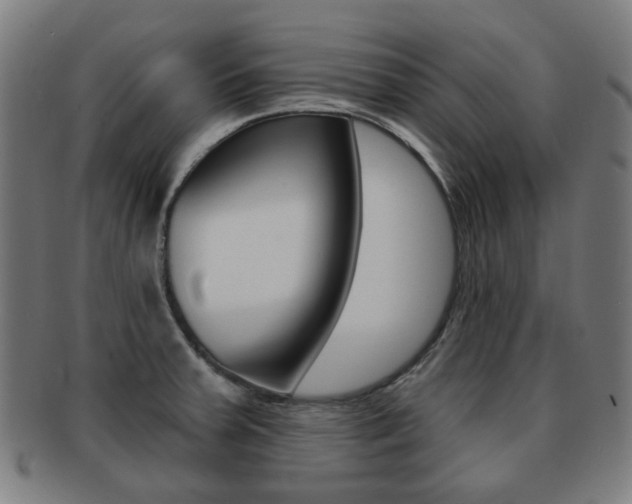 X0000091891379200709051036