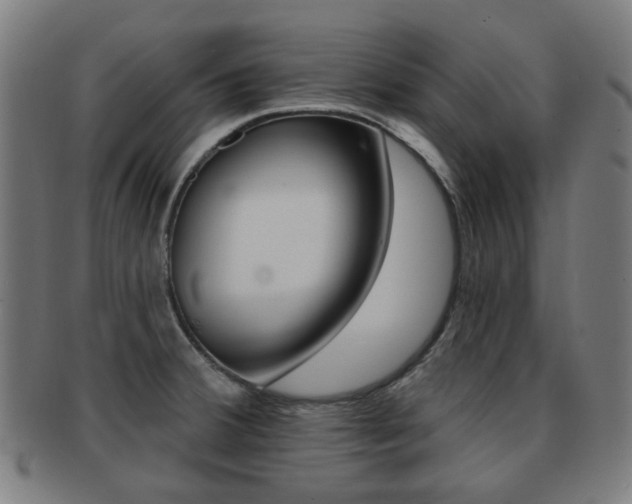 X0000091891380200709051036