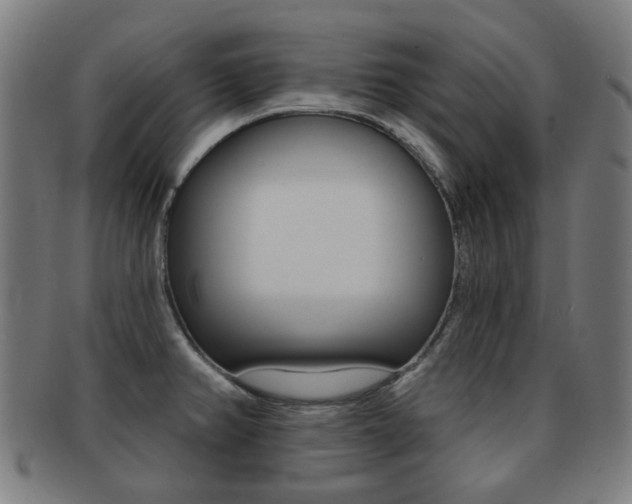 X0000091891382200709051036
