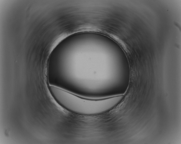 X0000091891383200709051036