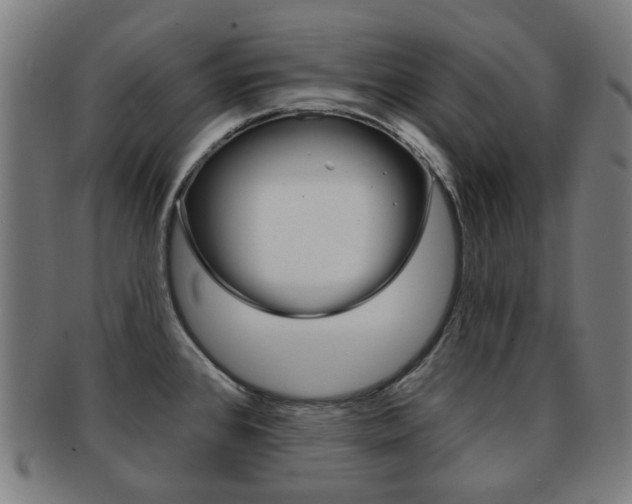 X0000091891384200709051036