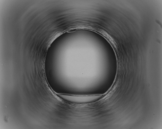 X0000091891385200709051036