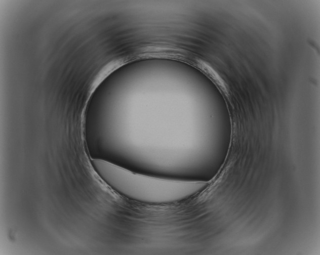 X0000091891386200709051036