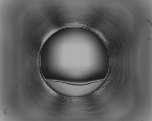 X0000091891387200709051036
