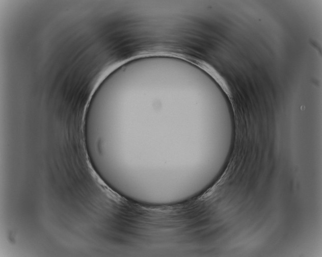 X0000091891388200709051036