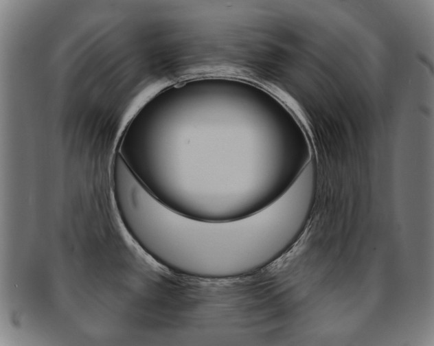 X0000091891389200709051036