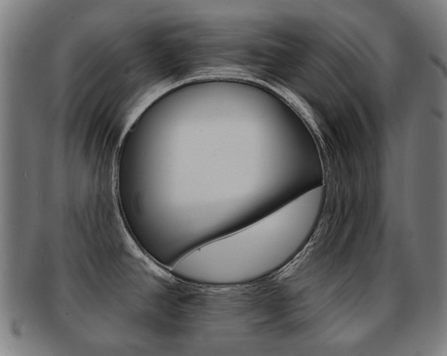 X0000091891390200709051036
