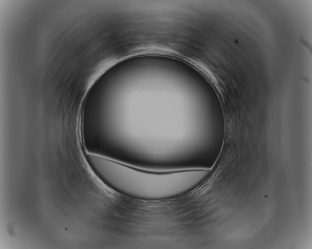 X0000091891391200709051036
