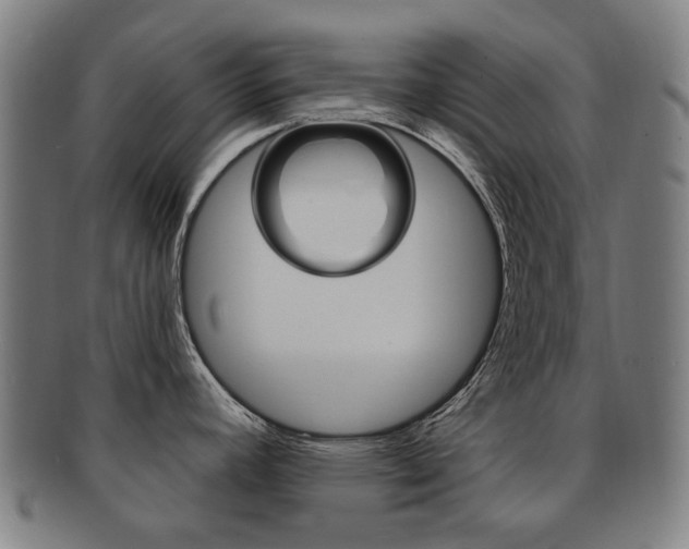 X0000091891392200709051036