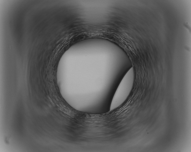 X0000091891393200709051036