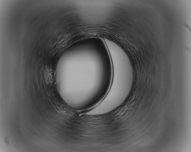 X0000091891394200709051036