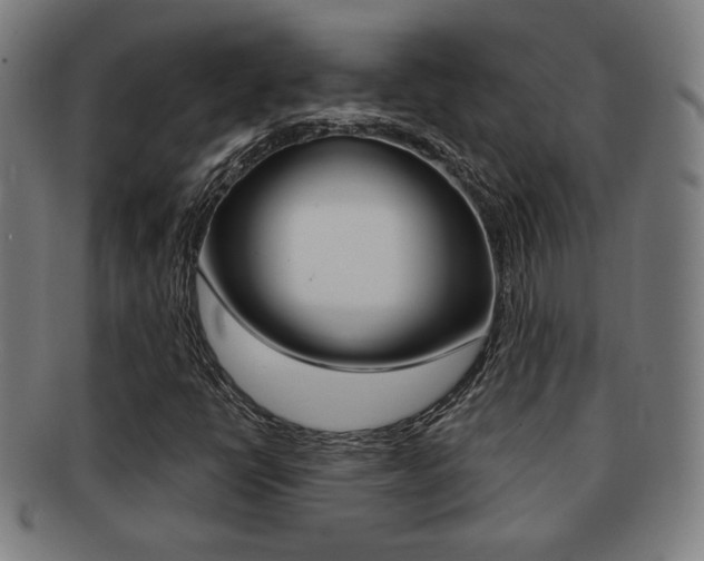 X0000091891398200709051036