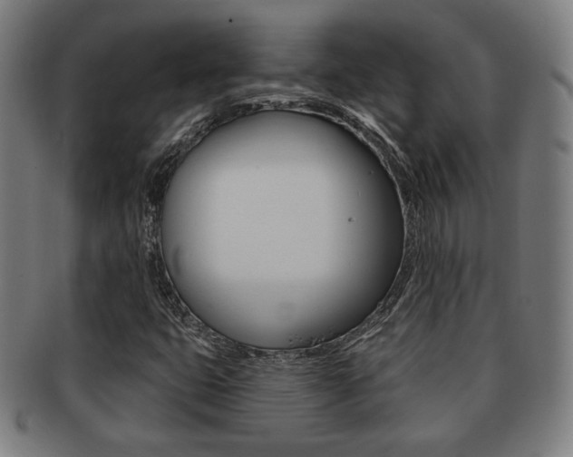 X0000091891399200709051036
