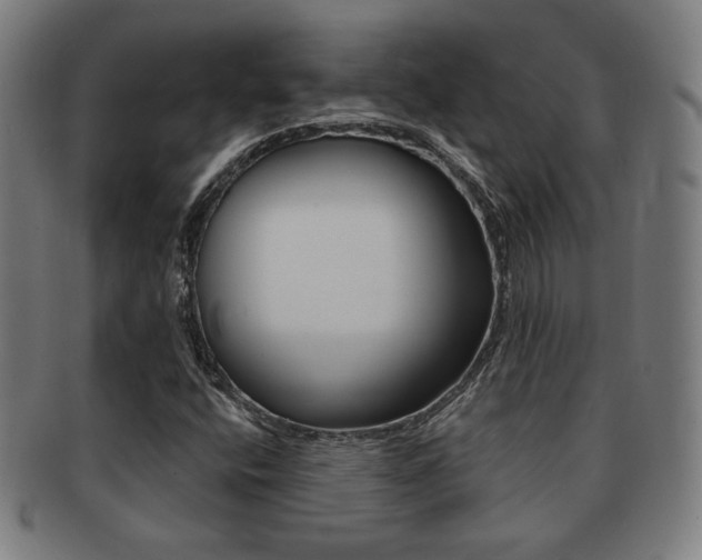 X0000091891400200709051036