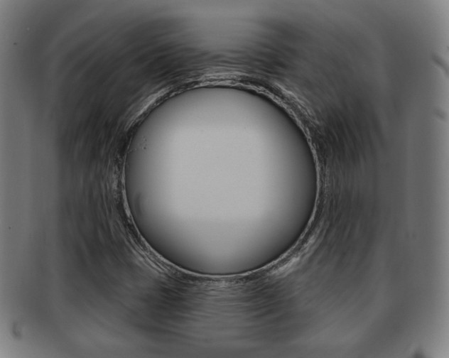 X0000091891401200709051036