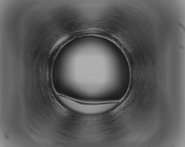 X0000091891402200709051036