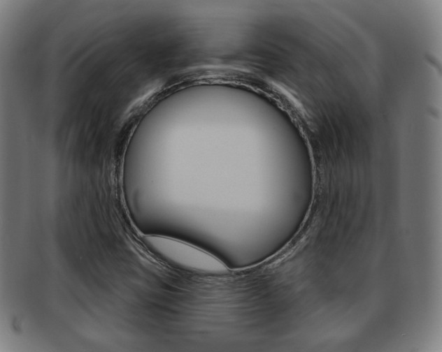 X0000091891403200709051036