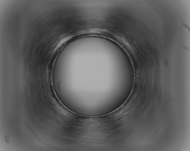 X0000091891404200709051036