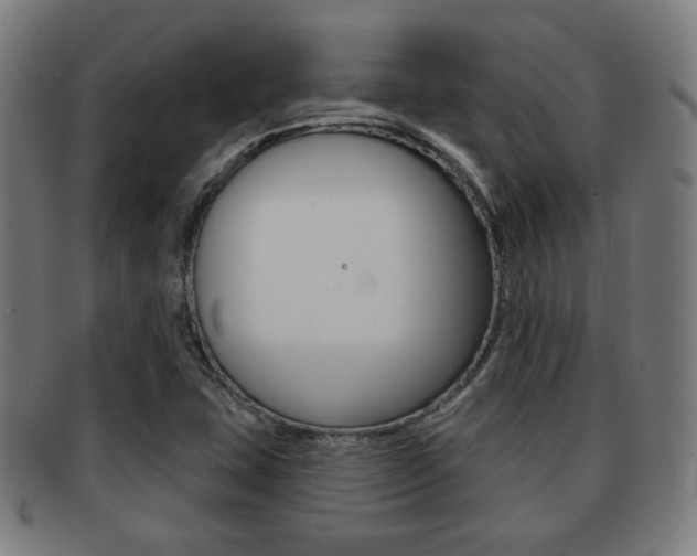X0000091891407200709051036