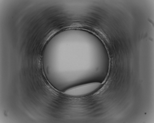 X0000091891409200709051036