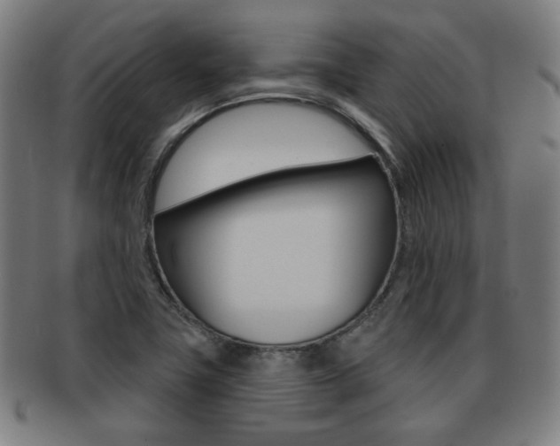 X0000091891411200709051036