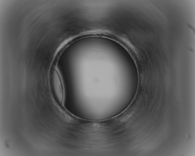 X0000091891412200709051036