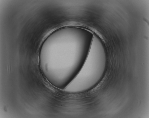 X0000091891413200709051036