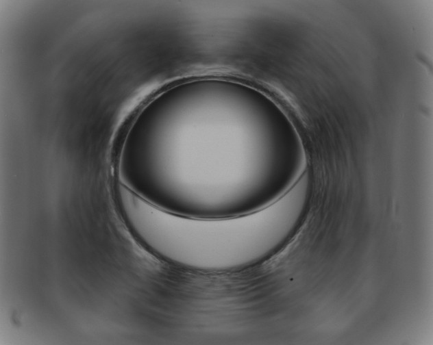 X0000091891414200709051036