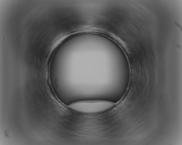 X0000091891415200709051036