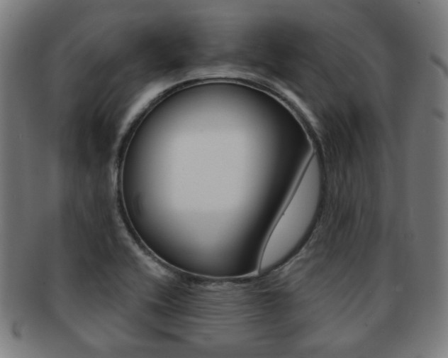 X0000091891416200709051036
